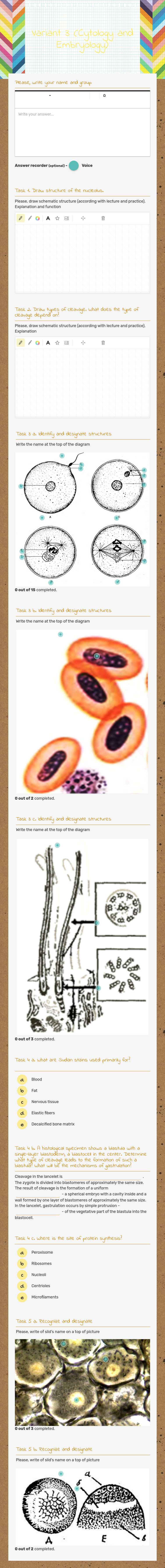 Variant 3 (Cytology and Embryology) Other worksheet preview