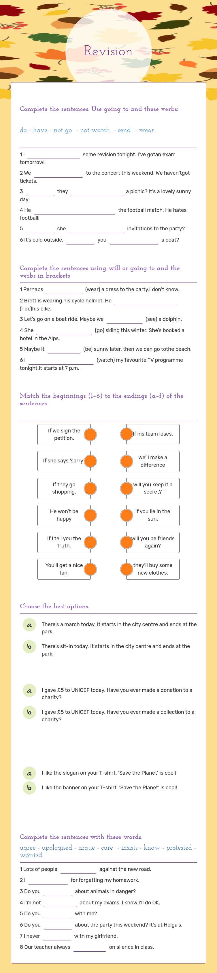 Revision worksheet preview image