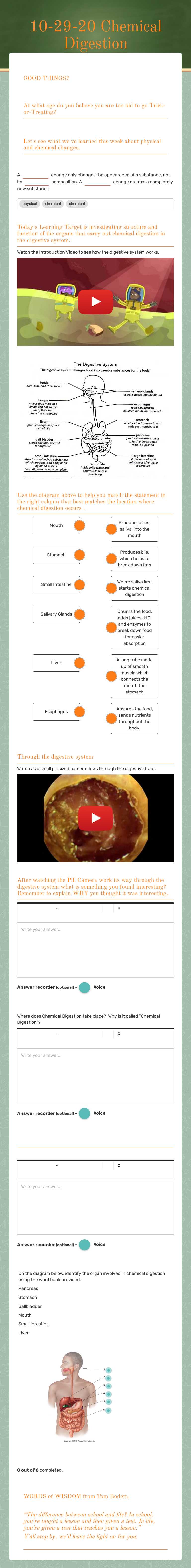 10-29-20 Chemical Digestion worksheet preview image