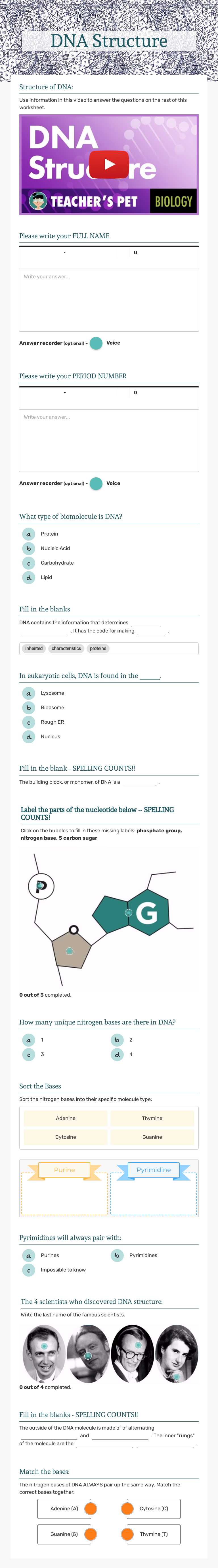 DNA Structure worksheet preview image