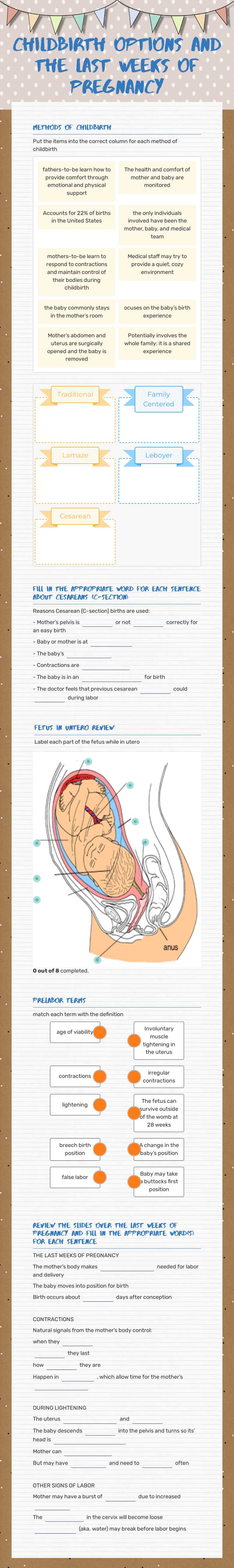 ChildBirth Options and the Last weeks of pregnancy worksheet preview image
