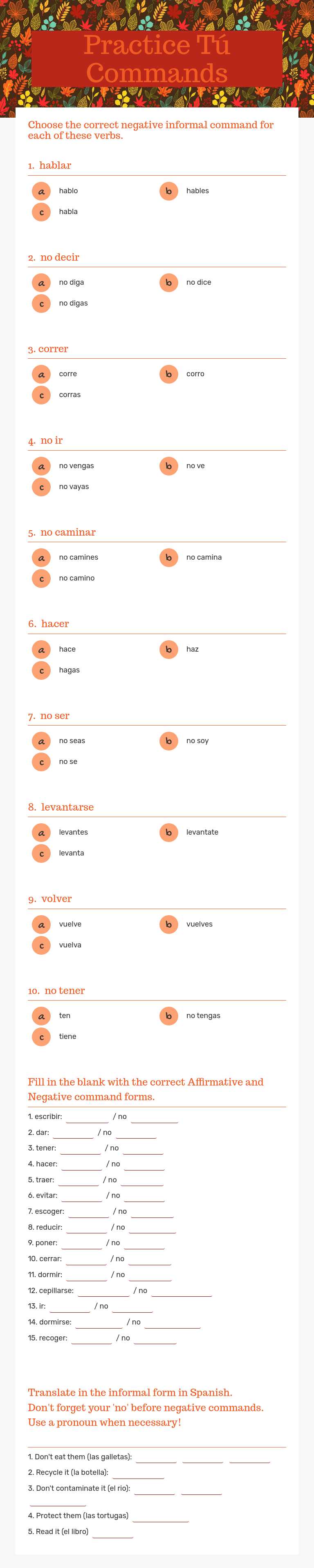 Practice  Tú Commands worksheet preview image