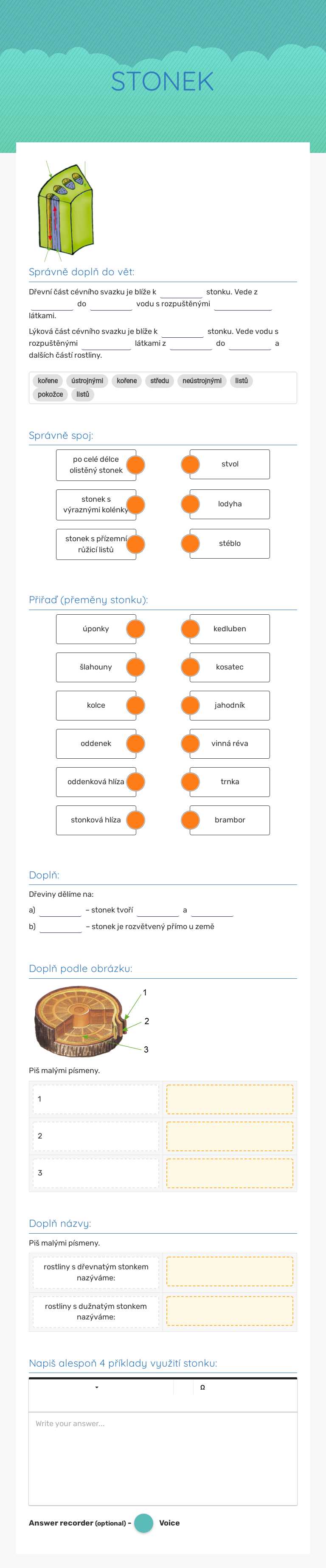 STONEK worksheet preview image