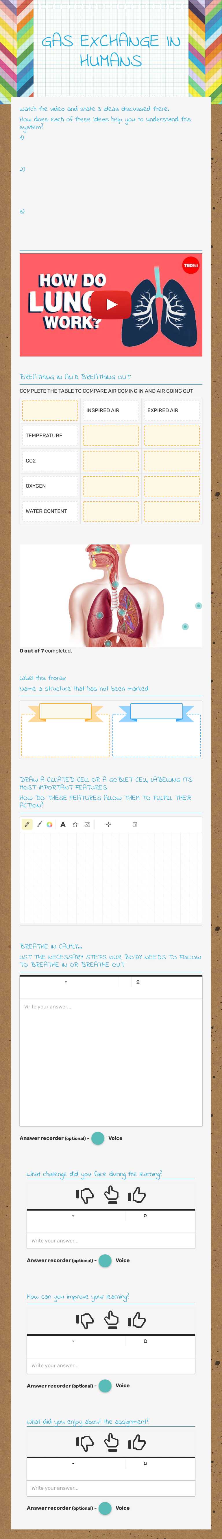 GAS EXCHANGE IN HUMANS worksheet preview image
