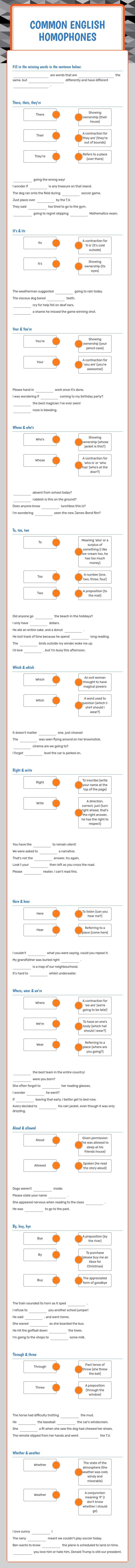 Common English 
Homophones worksheet preview image