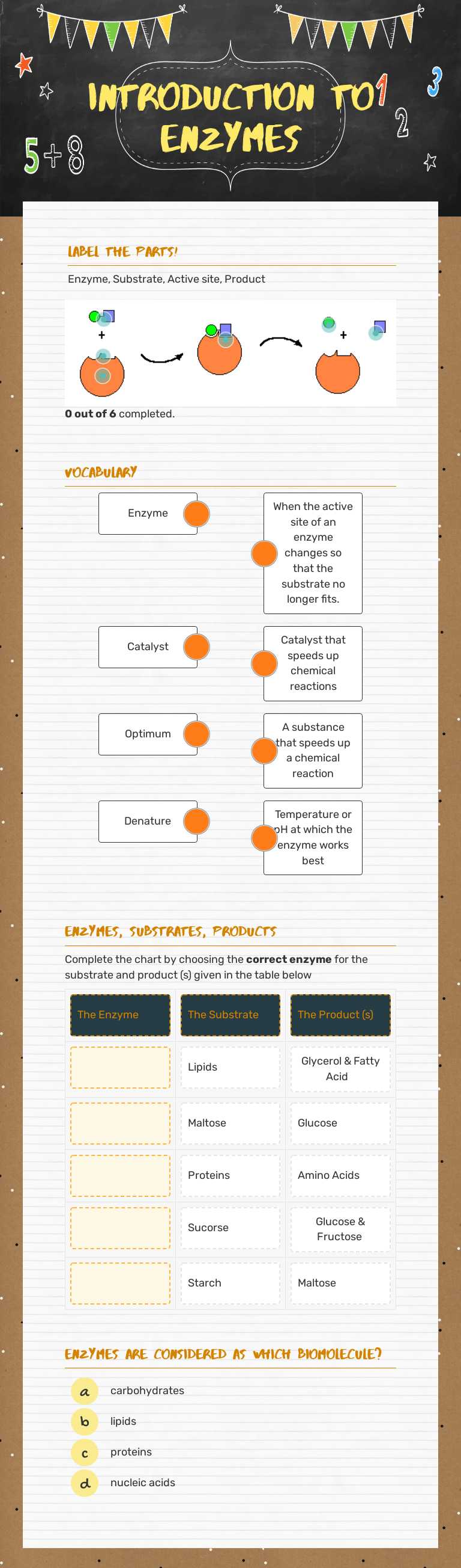 Introduction to Enzymes worksheet preview image