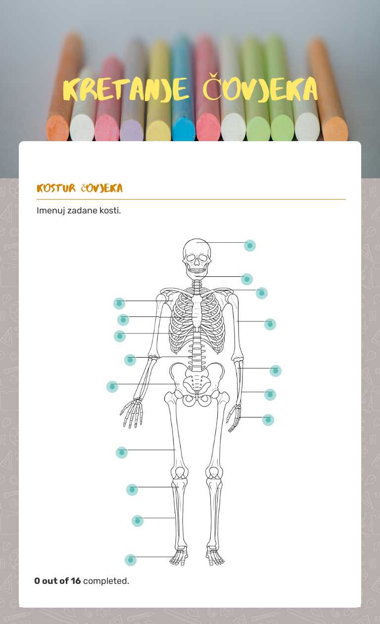 KRETANJE ČOVJEKA Grade 7 worksheet preview