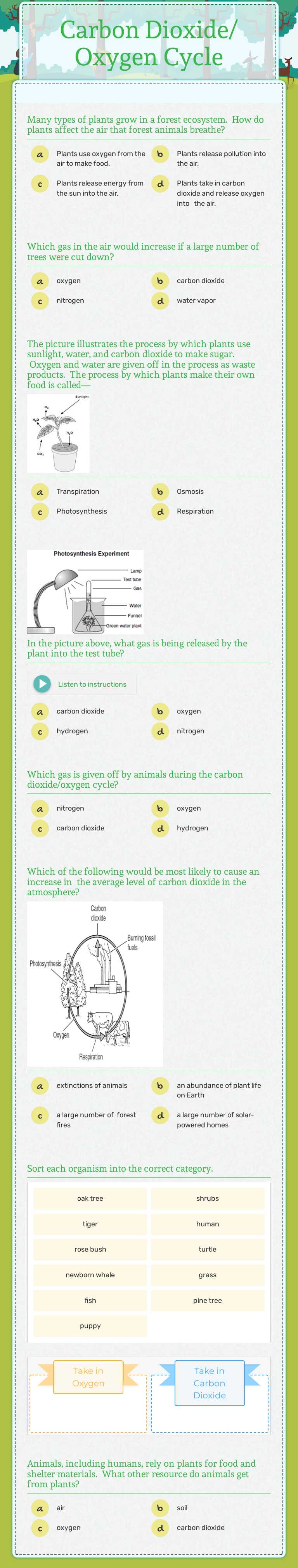 Carbon Dioxide/ Oxygen Cycle worksheet preview image