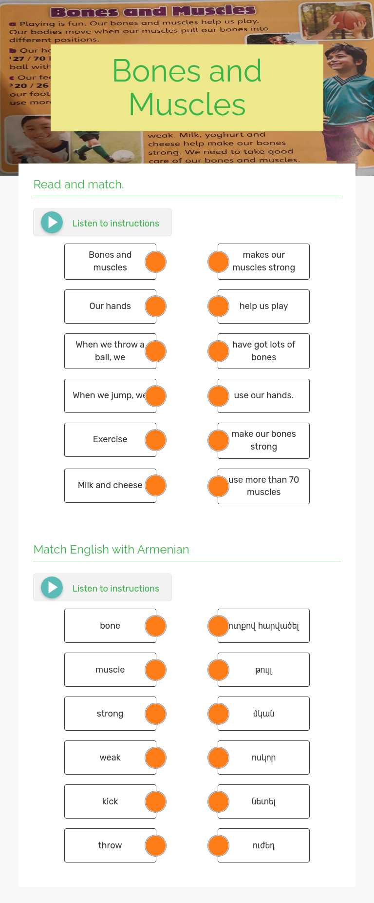 Bones and Muscles worksheet preview image