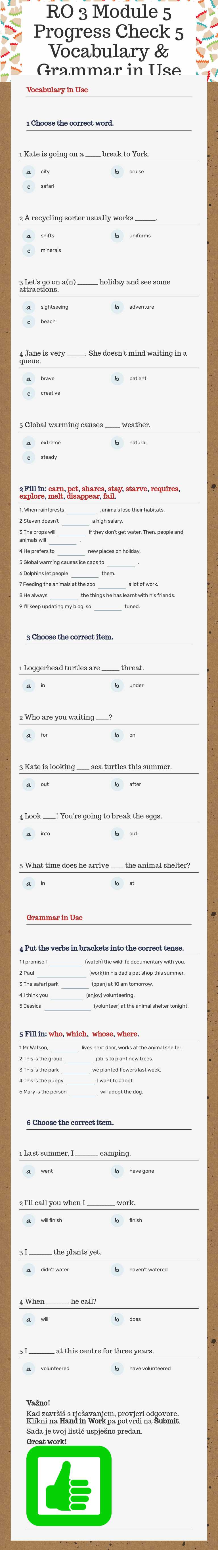 RO 3 Module 5 Progress Check 5 Vocabulary & Grammar in Use worksheet preview image