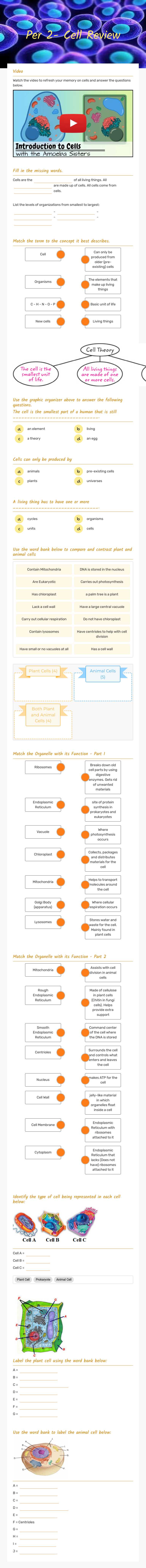 Per 2- Cell Review Grade 6 worksheet preview