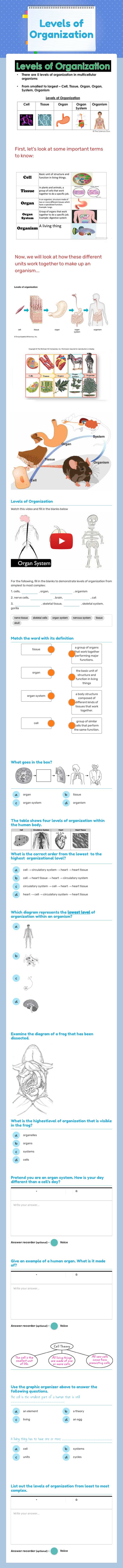 Levels of Organization Grade 7 worksheet preview