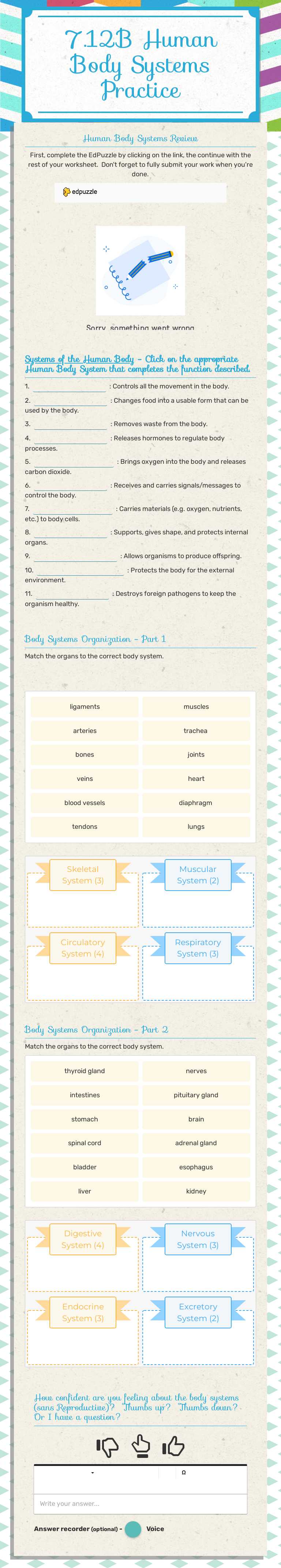 7.12B
Human Body Systems Practice worksheet preview image
