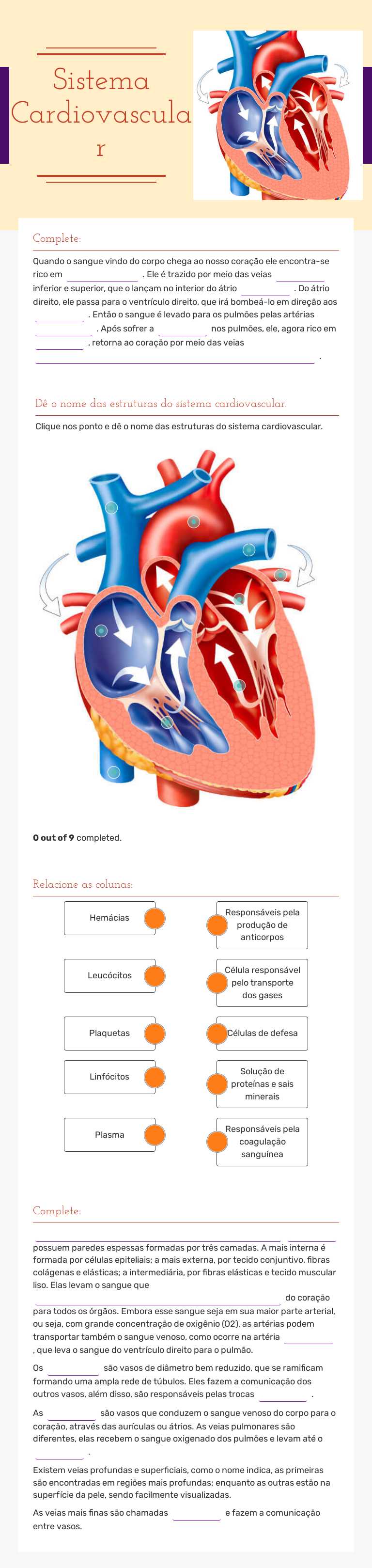 Sistema Cardiovascular Grade 12 worksheet preview