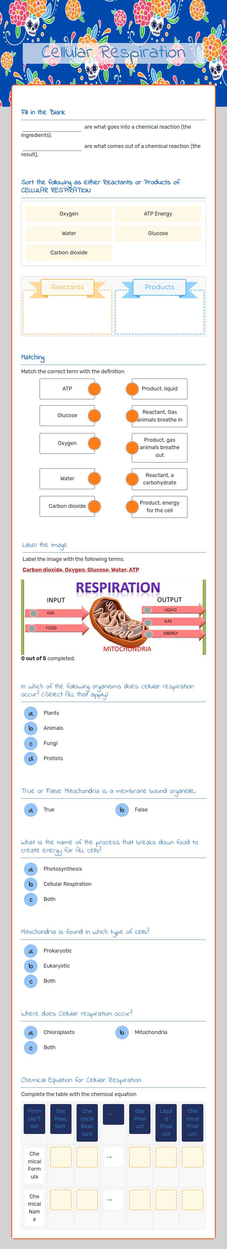 Cellular Respiration worksheet preview image