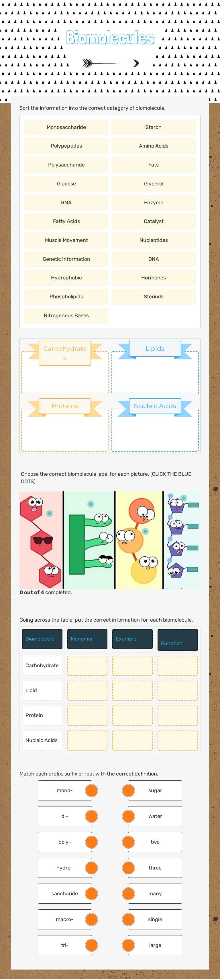 Biomolecules worksheet preview image