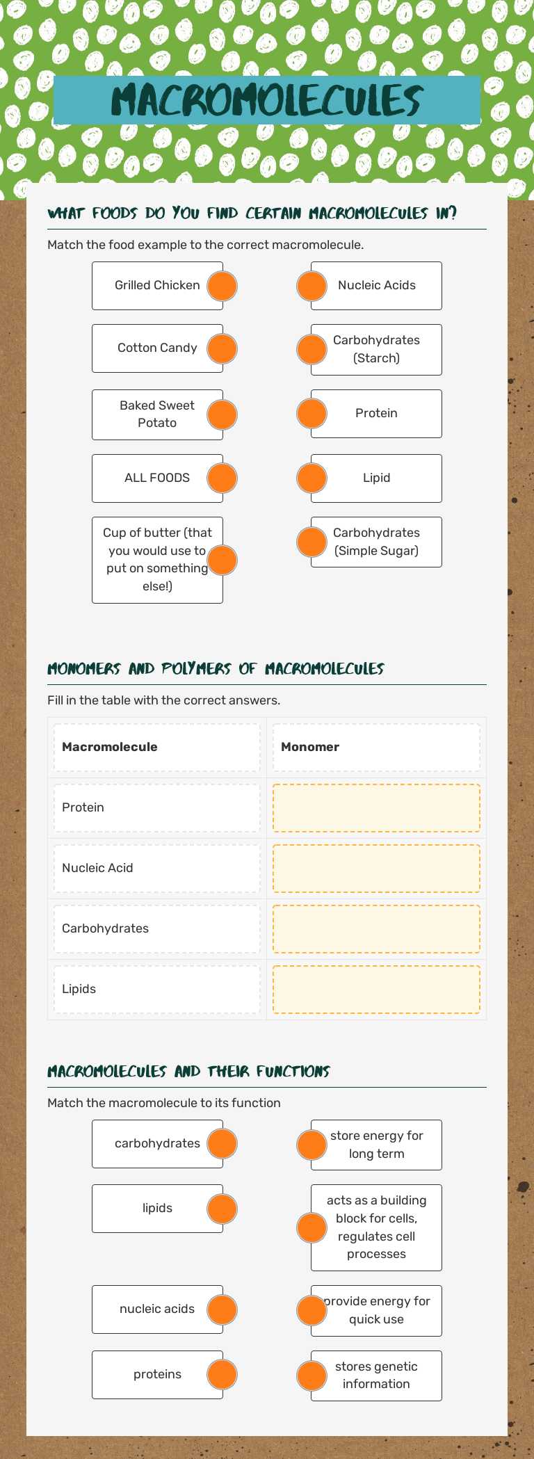 Macromolecules worksheet preview image