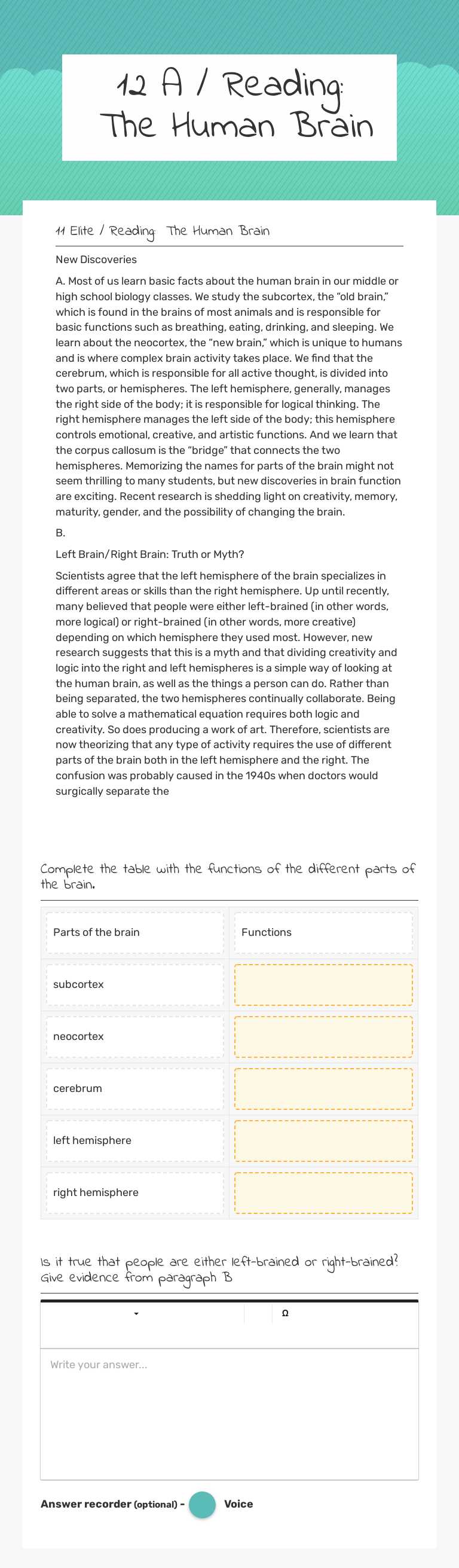12 A / Reading: The Human Brain Grade 11 worksheet preview
