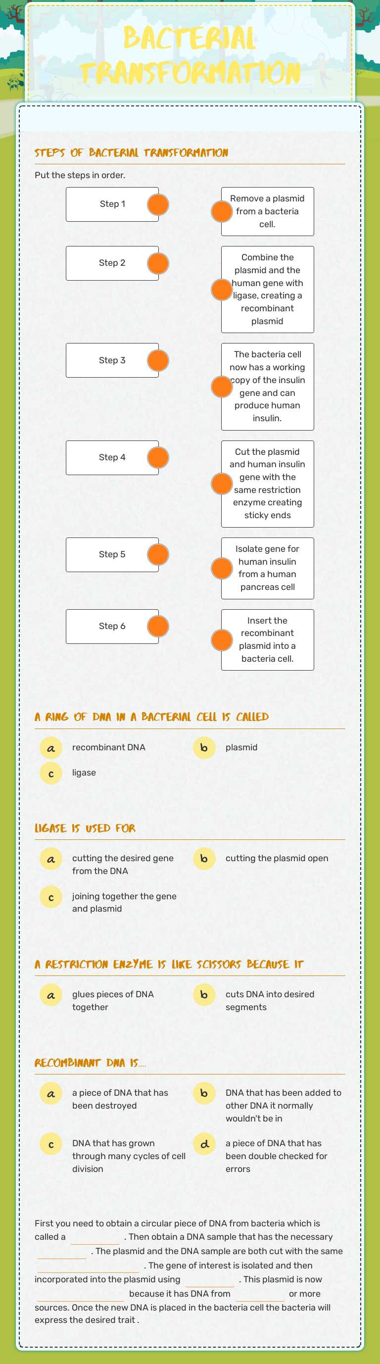 Bacterial Transformation worksheet preview image
