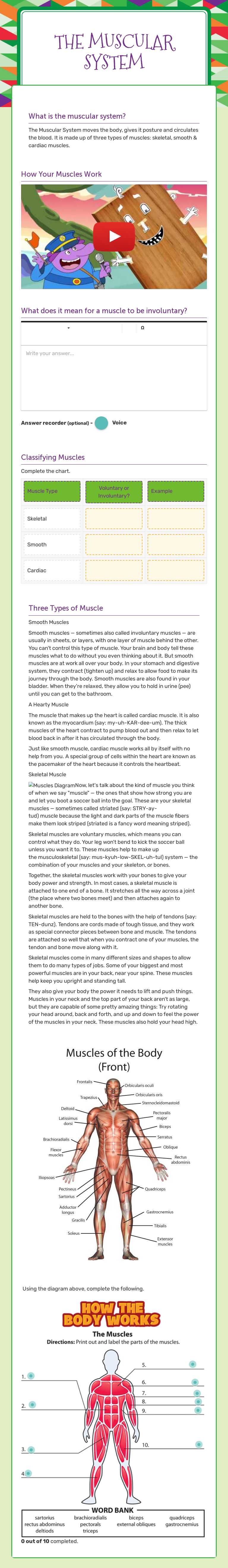 The Muscular System worksheet preview image