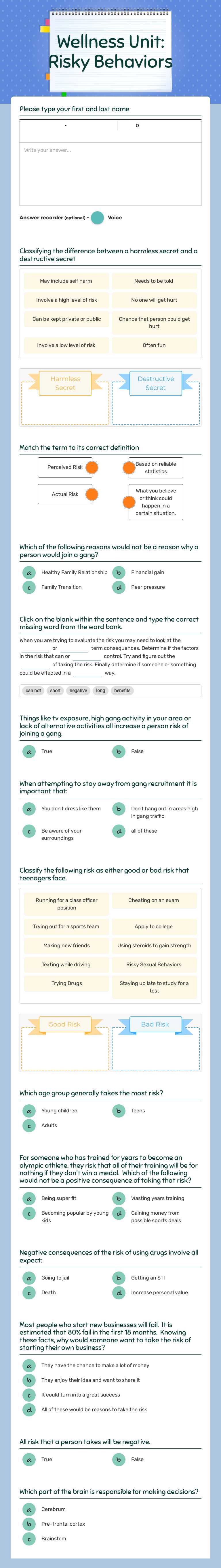 Wellness Unit: Risky Behaviors worksheet preview image