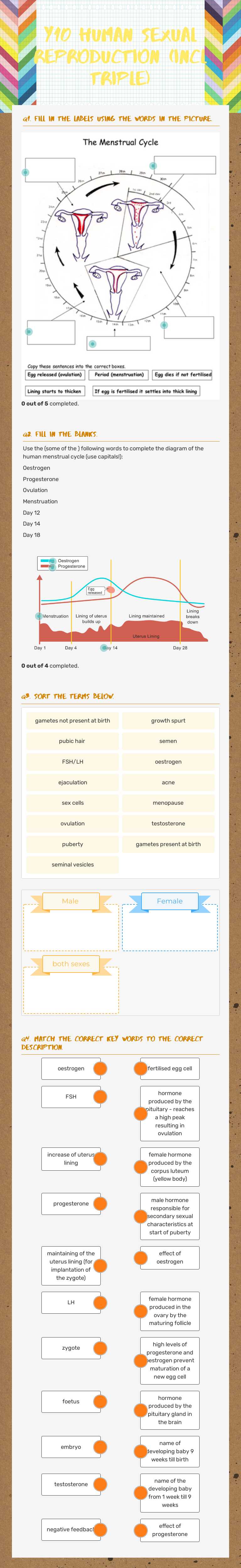 Y10 Human Sexual reproduction (incl triple) worksheet preview