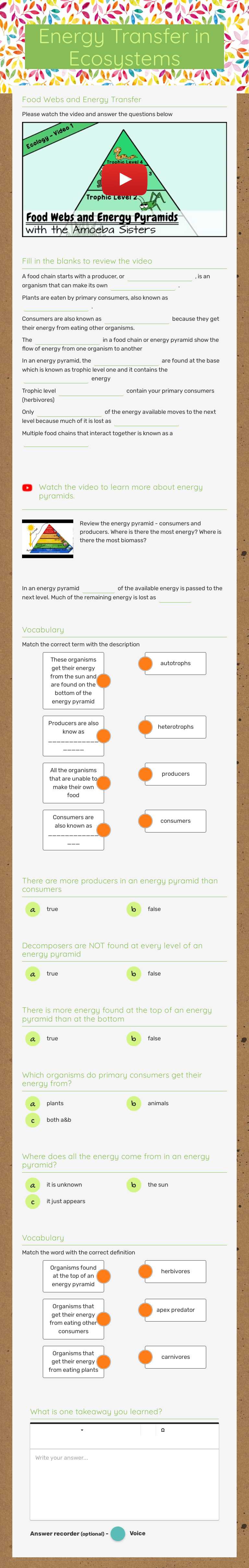 Energy Transfer in Ecosystems worksheet preview image