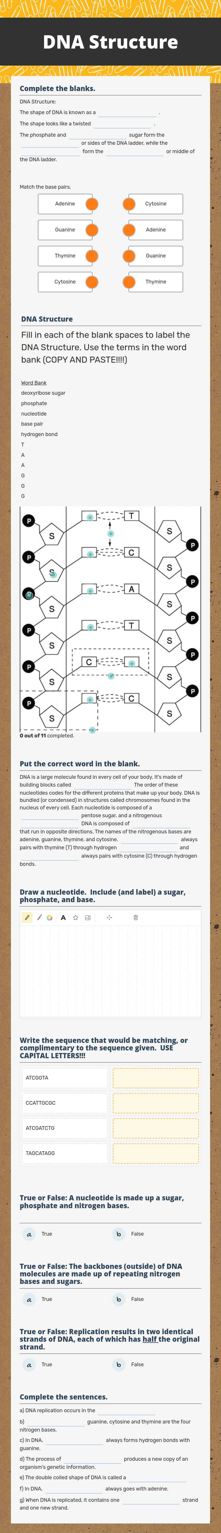 DNA Structure worksheet preview image
