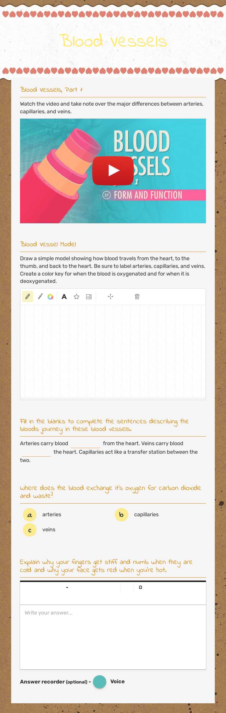 Blood Vessels worksheet preview image
