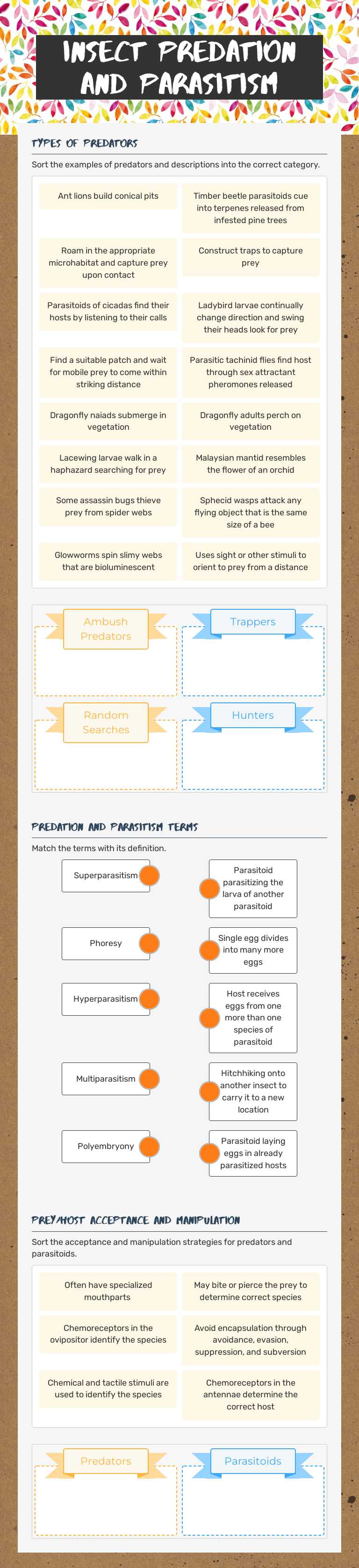 Insect Predation and Parasitism worksheet preview image