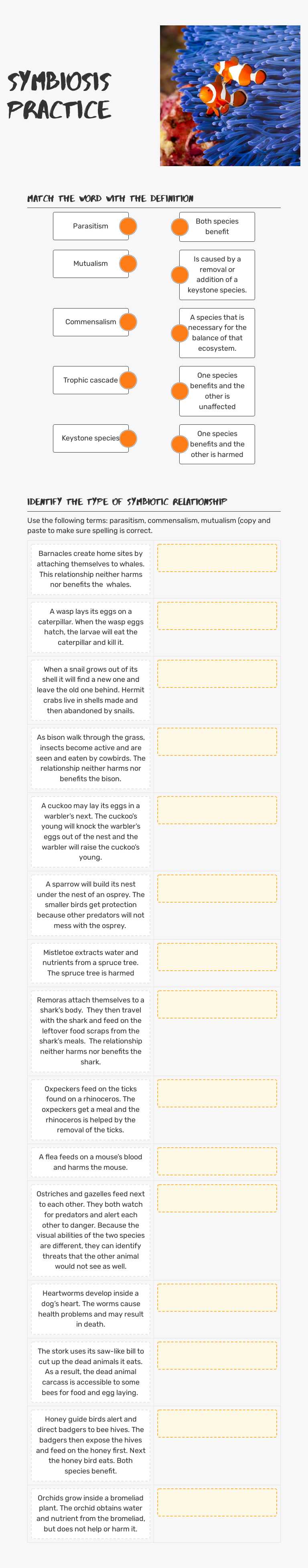 Symbiosis Practice Grade 9 worksheet preview