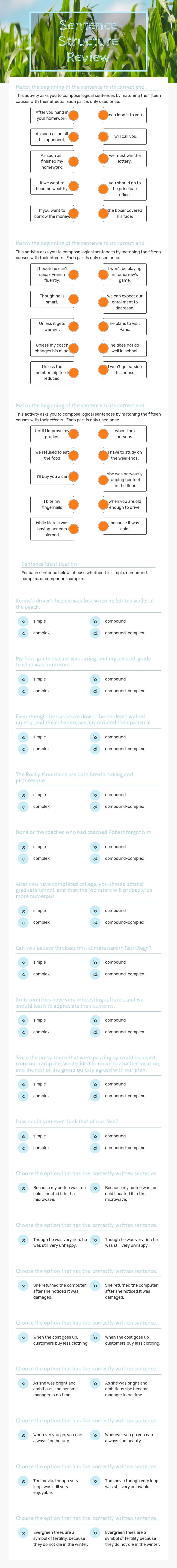 Sentence Structure Review worksheet preview image