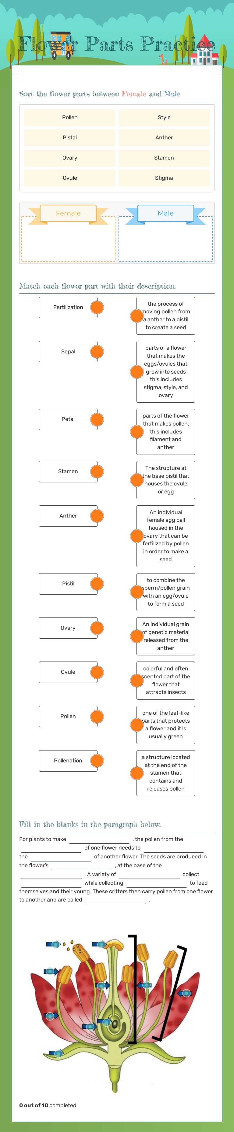 Flower Parts Practice worksheet preview image