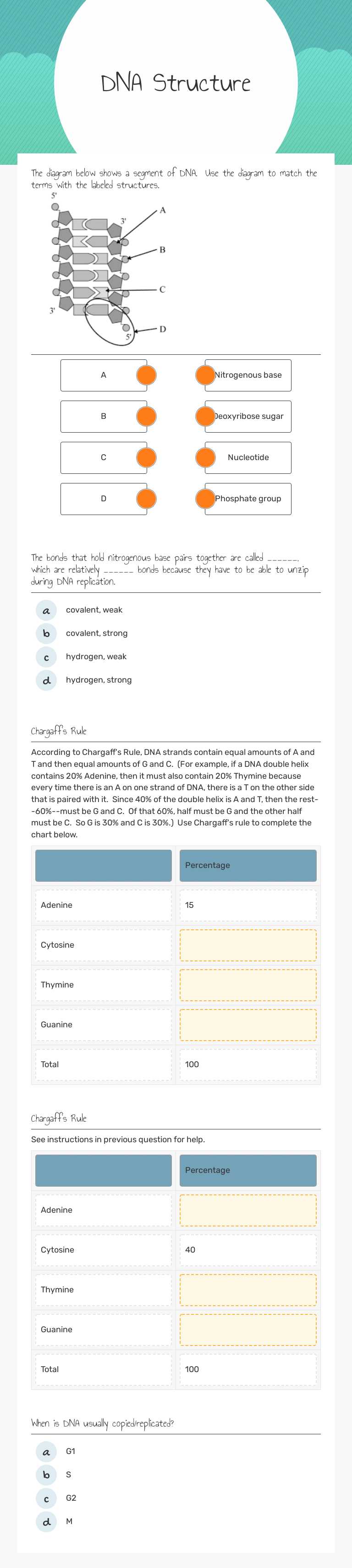 DNA Structure by Lauren Griffin | Interactive Worksheet | Wizer.me