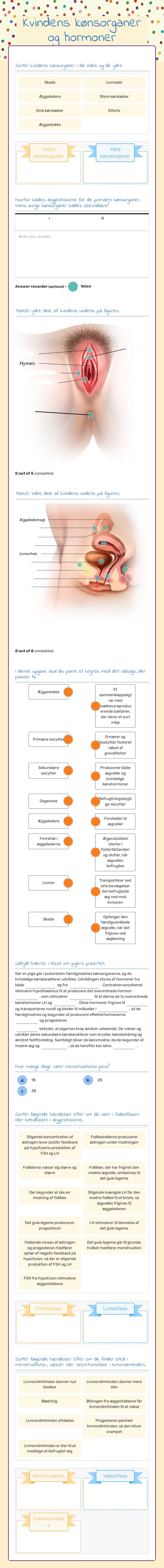 Kvindens kønsorganer og hormoner worksheet preview image