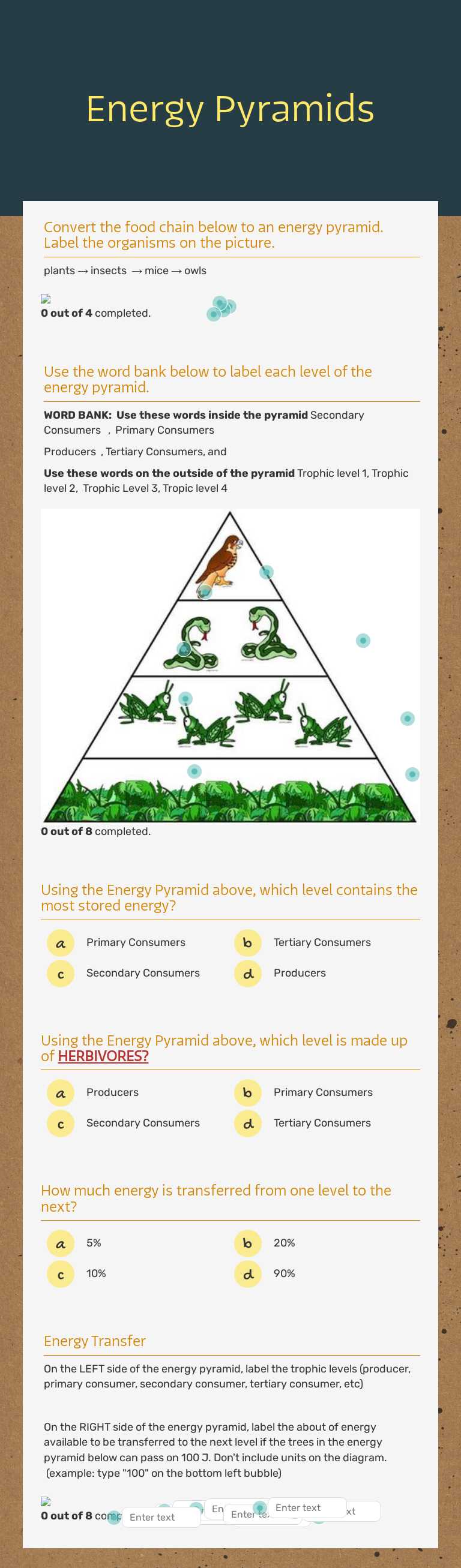 Energy Pyramids worksheet preview image