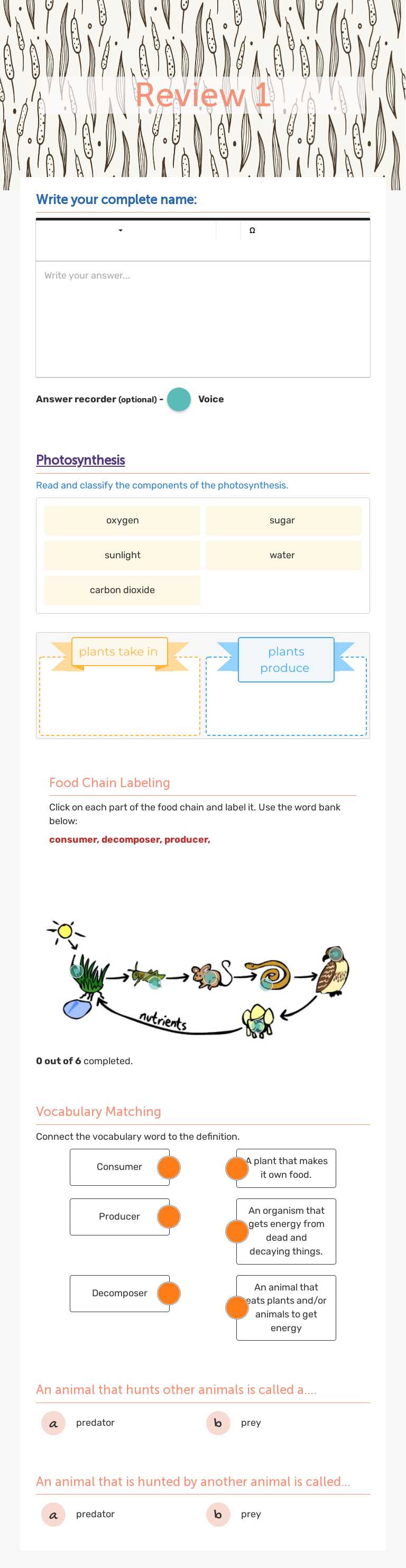 Review 1 worksheet preview image