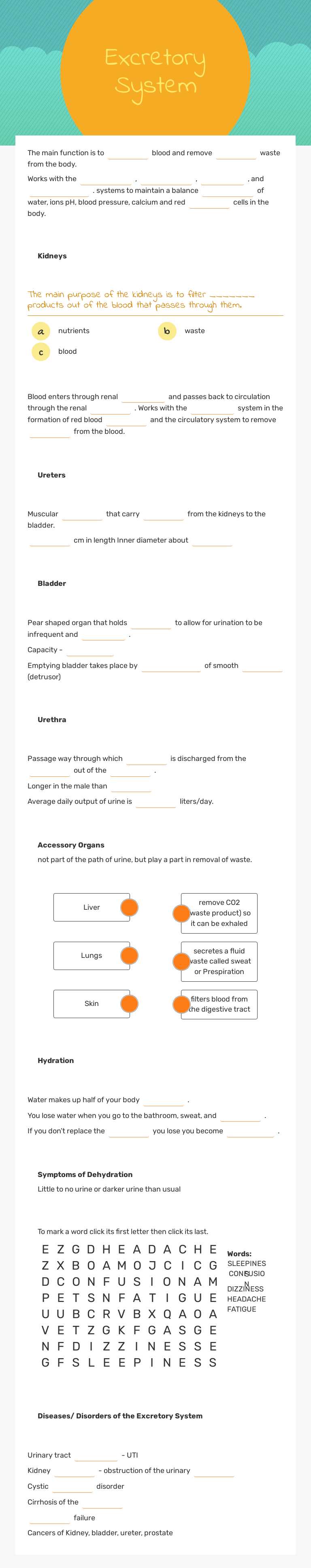 Excretory System worksheet preview image