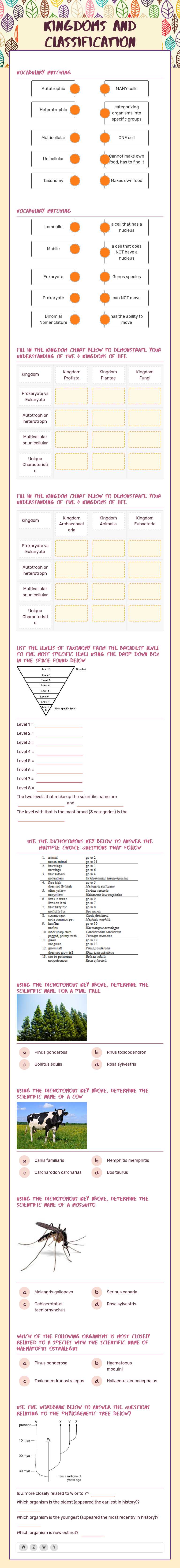 Kingdoms and Classification worksheet preview image