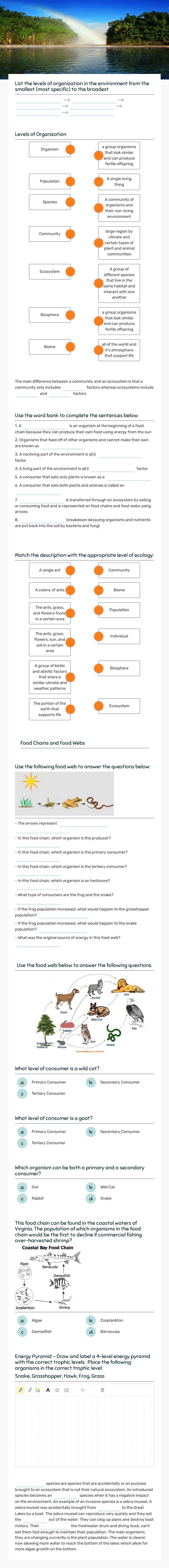 Introduction to Ecology Quiz Grade 7 worksheet preview