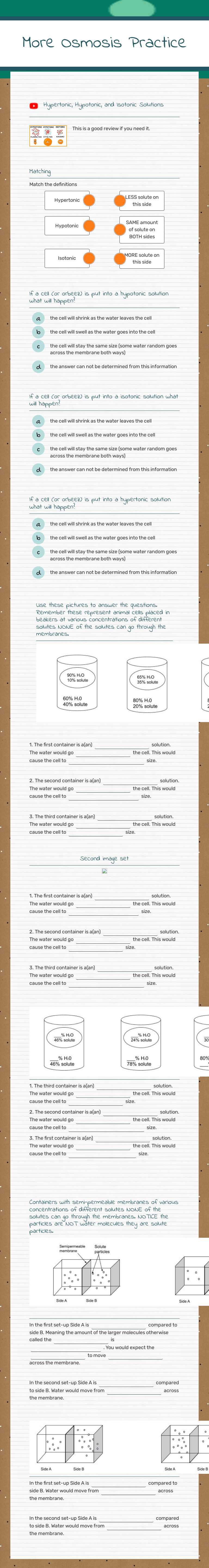 More Osmosis Practice Grade 9 worksheet preview