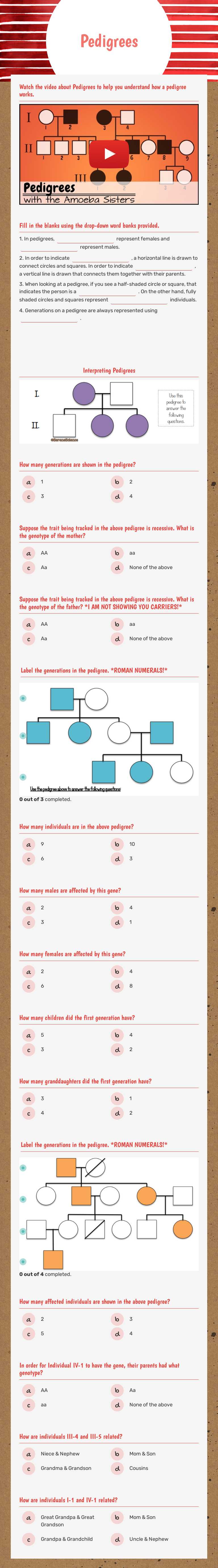 Pedigrees worksheet preview image