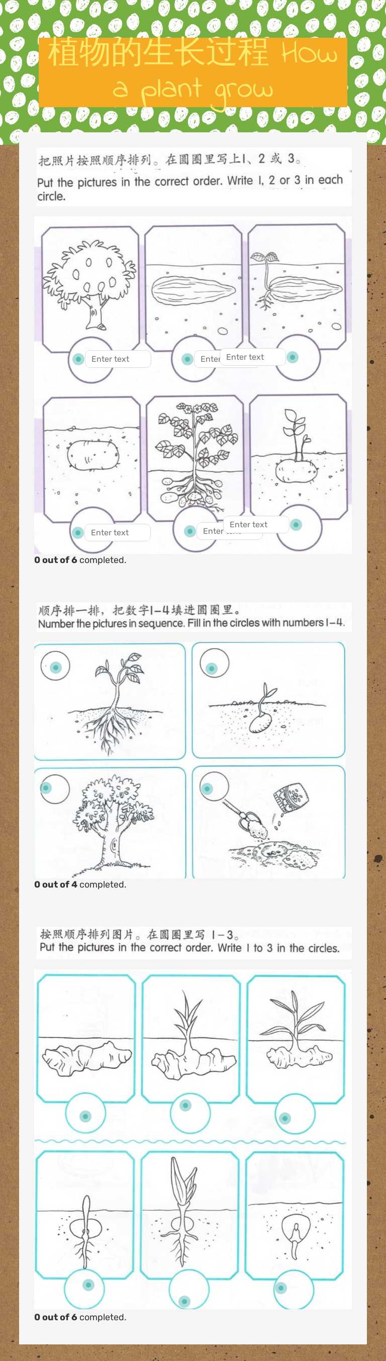 植物的生长过程 HOw a plant grow worksheet preview image