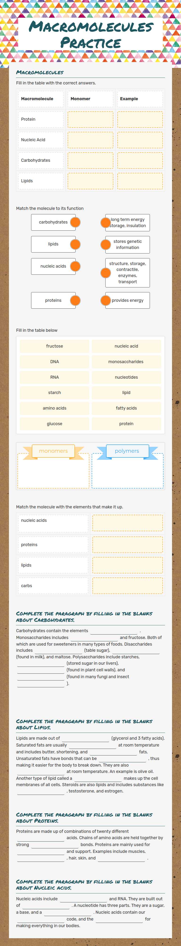 Macromolecules Practice worksheet preview image