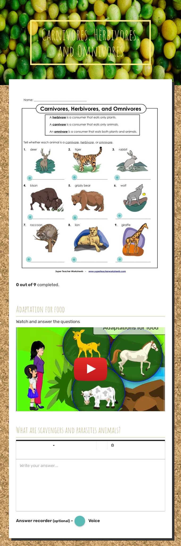 Carnivores, Herbivores, and Omnivores Other worksheet preview