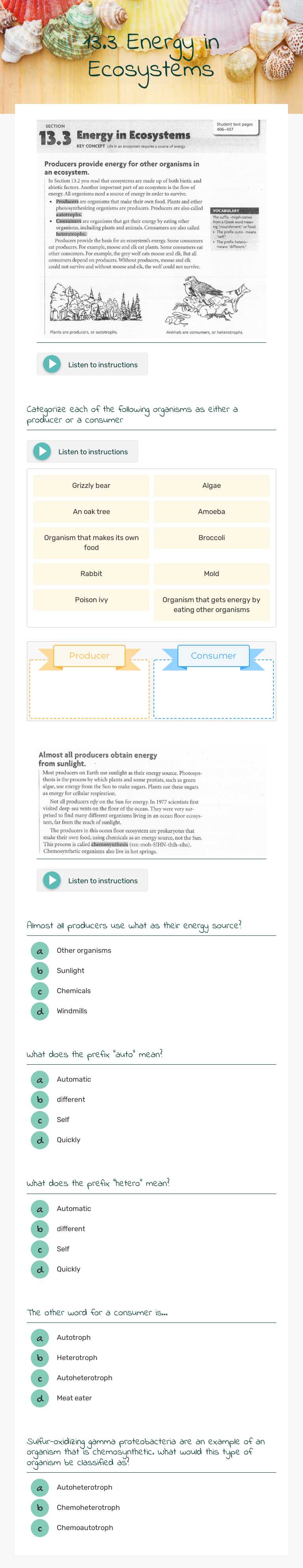 13.3 Energy in Ecosystems worksheet preview image