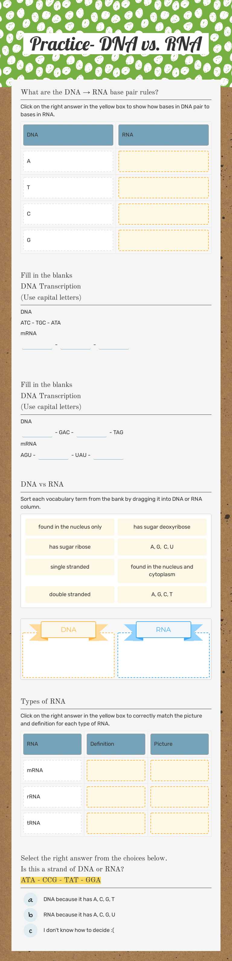 Practice- DNA vs. RNA Grade 9 worksheet preview