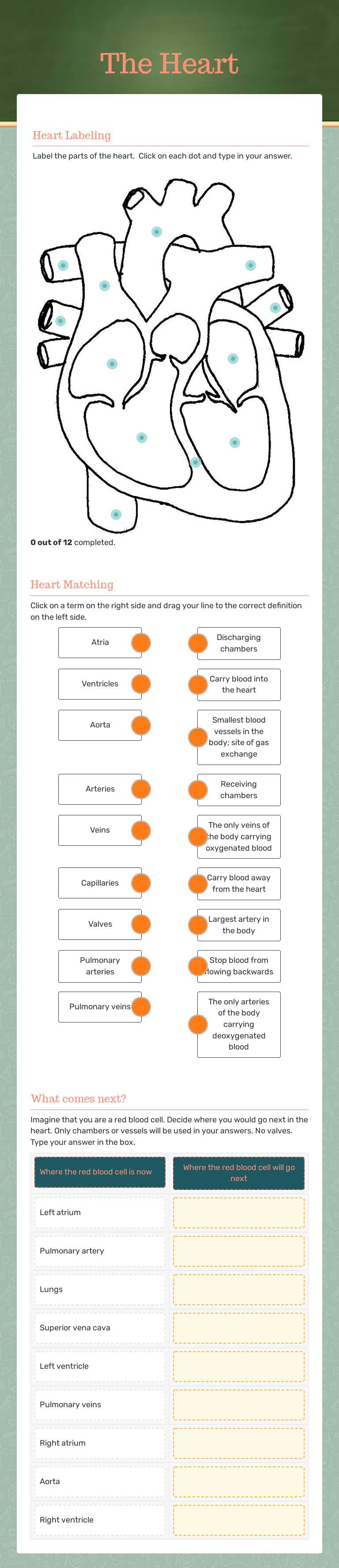 The Heart worksheet preview image