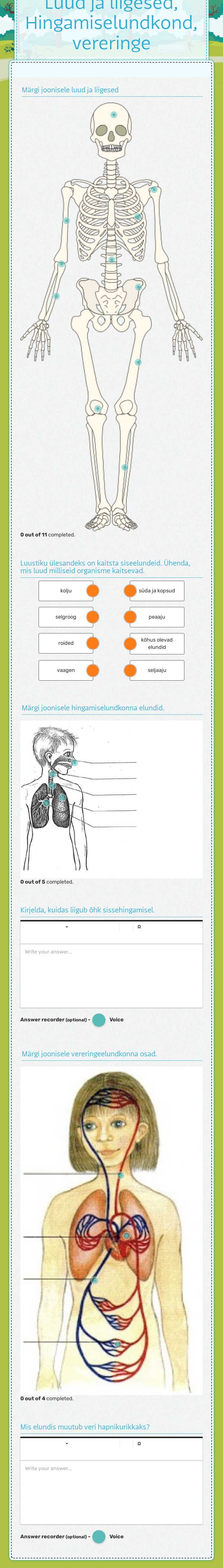 Luud ja liigesed, Hingamiselundkond, vereringe worksheet preview image
