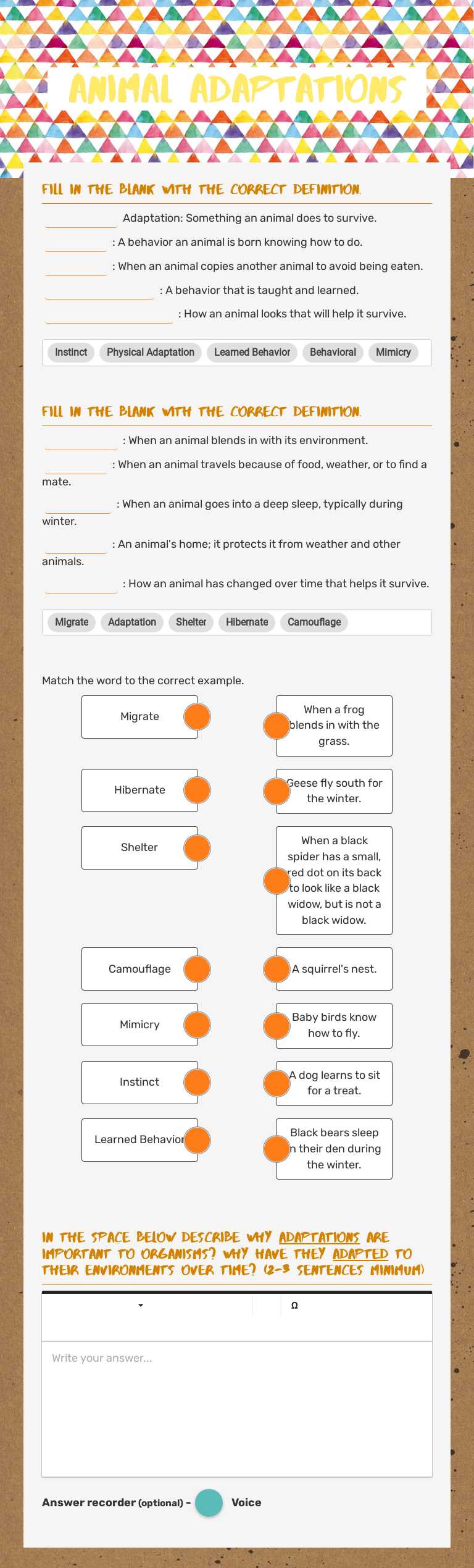 Animal Adaptations worksheet preview image